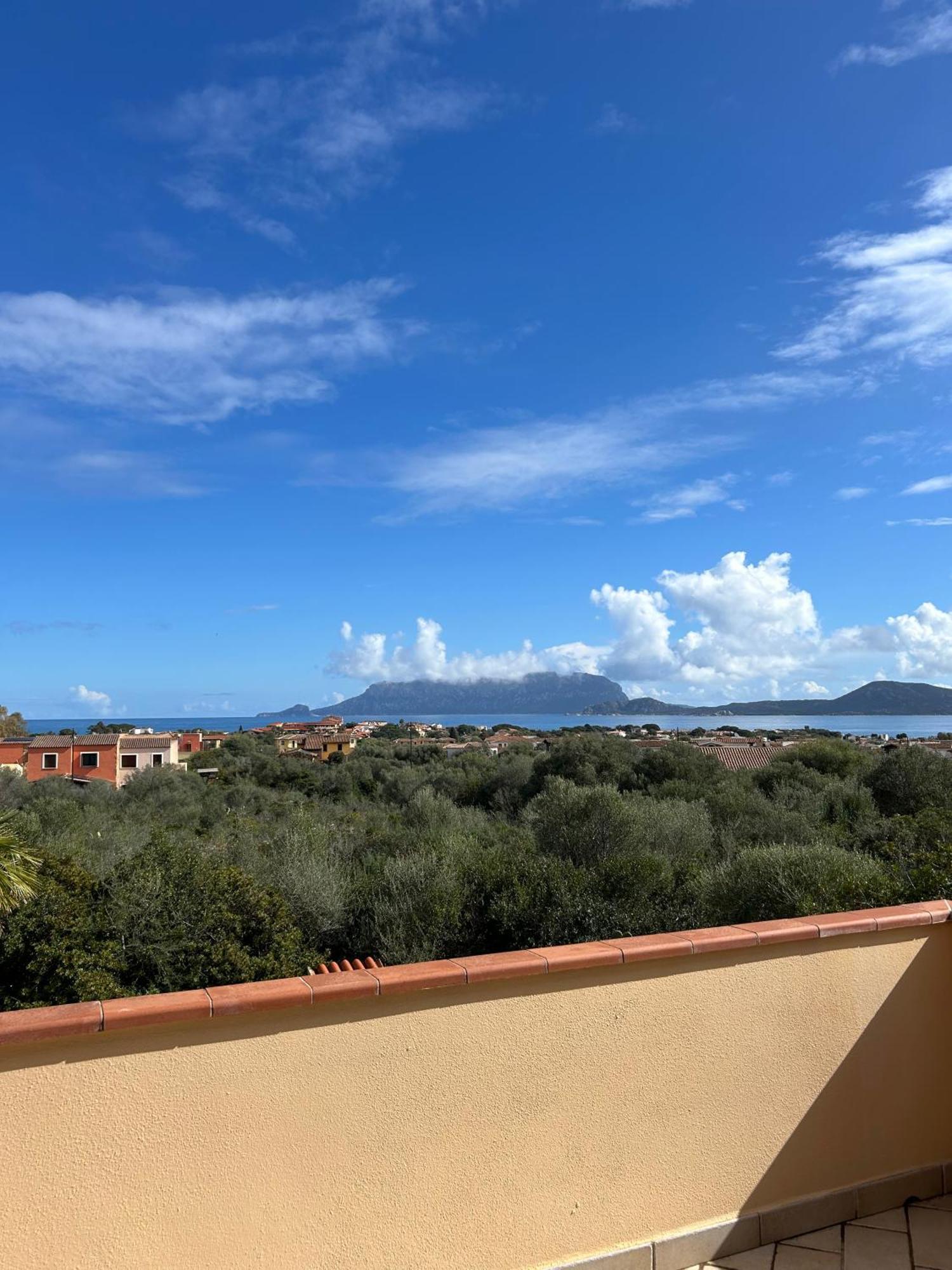 Villa Ulivo Olbia Bagian luar foto