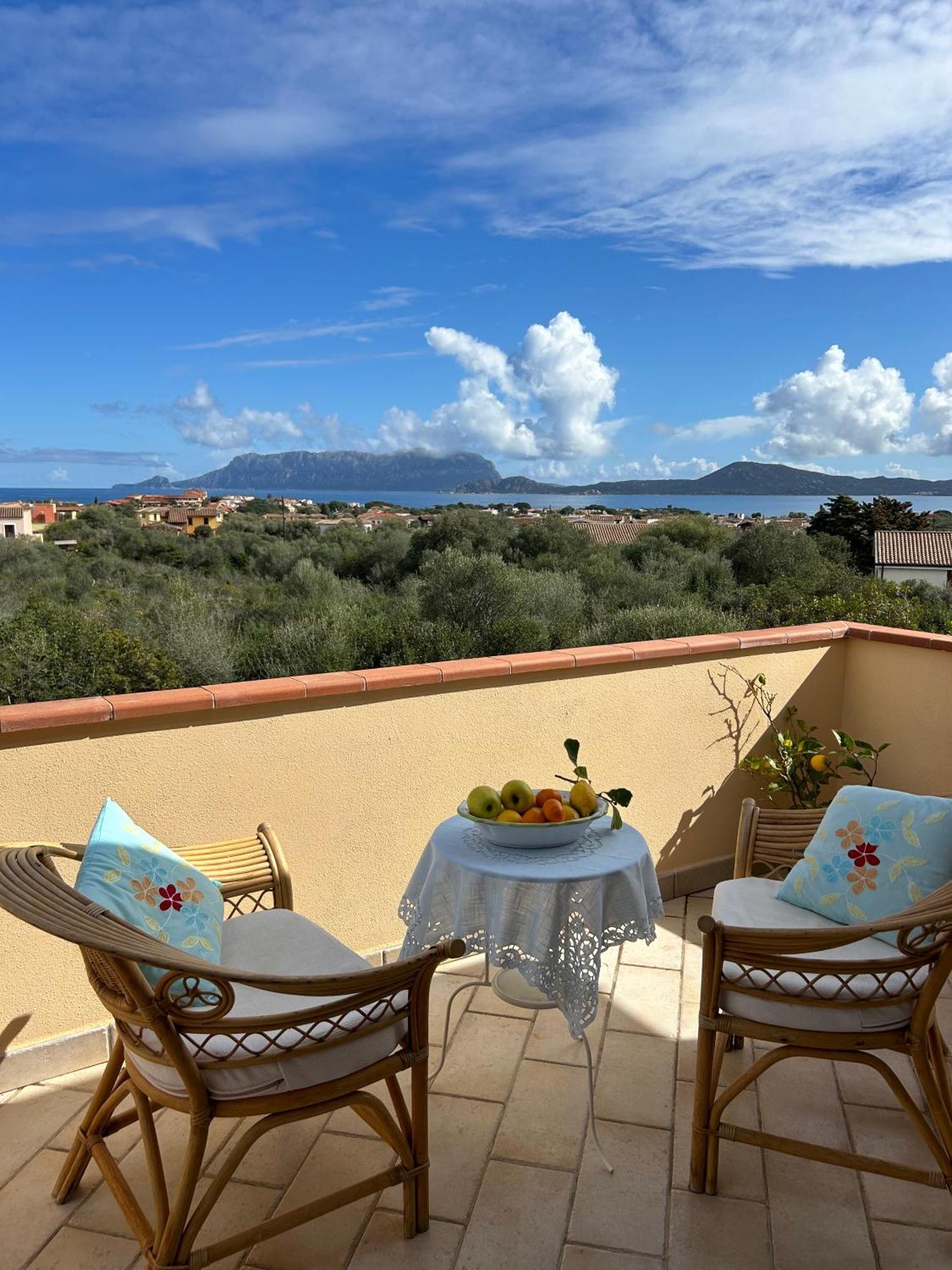 Villa Ulivo Olbia Bagian luar foto